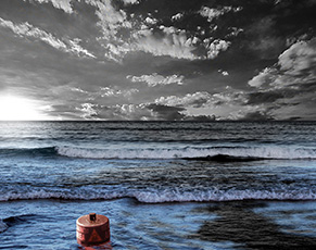 8 Million Tons Of Plastic Clutter Our Seas 8 Million Tons Of Plastic Clutter Our Seas